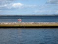 /album/a1/a141-img-3831-120907-balt-ii-jpg/